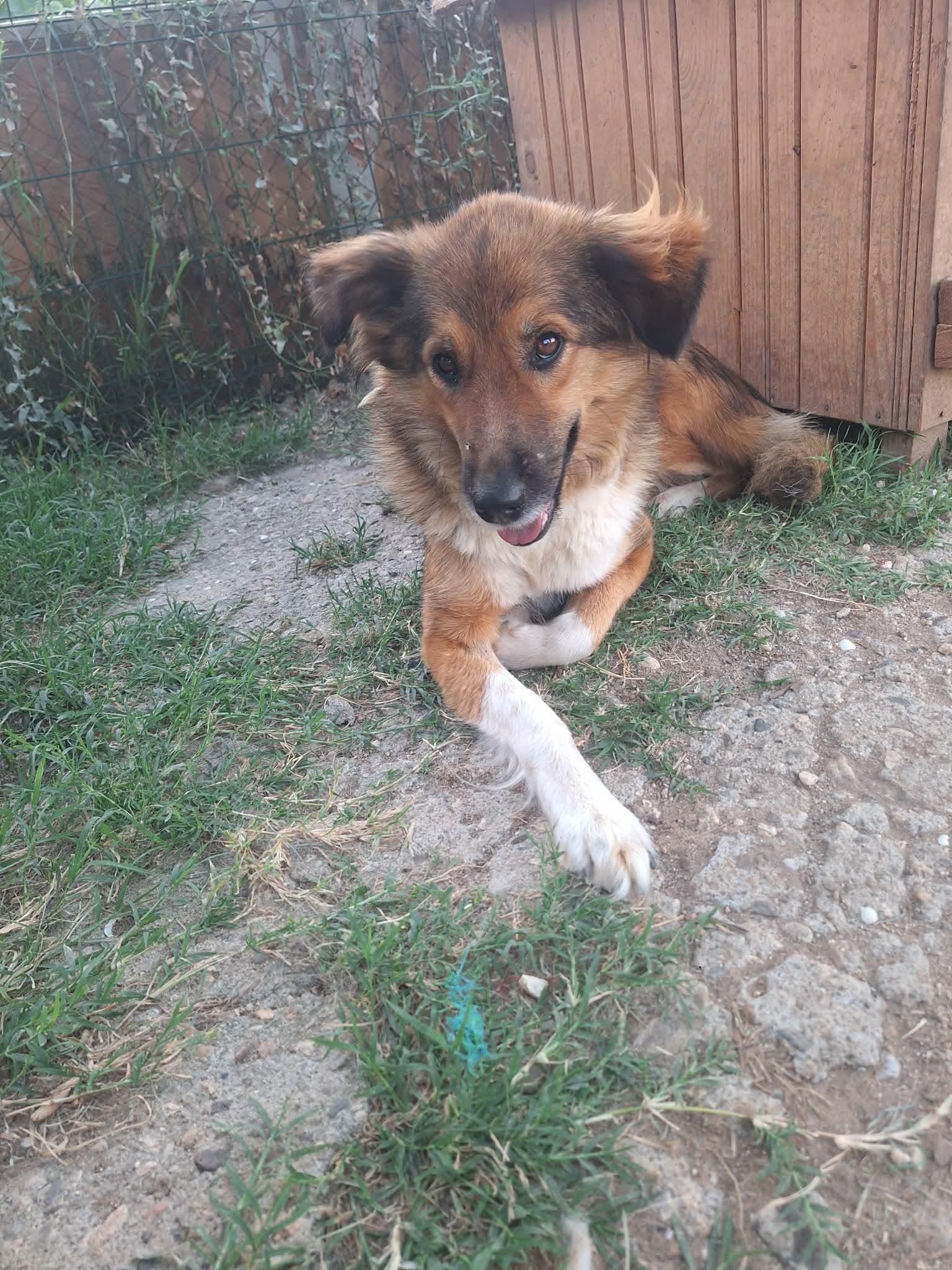 Nora